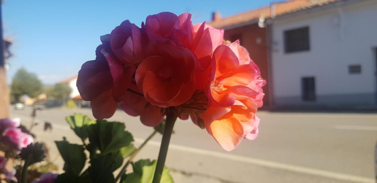 El Rodeno De Gea Ideal Parejas Gea de Albarracín Exterior foto